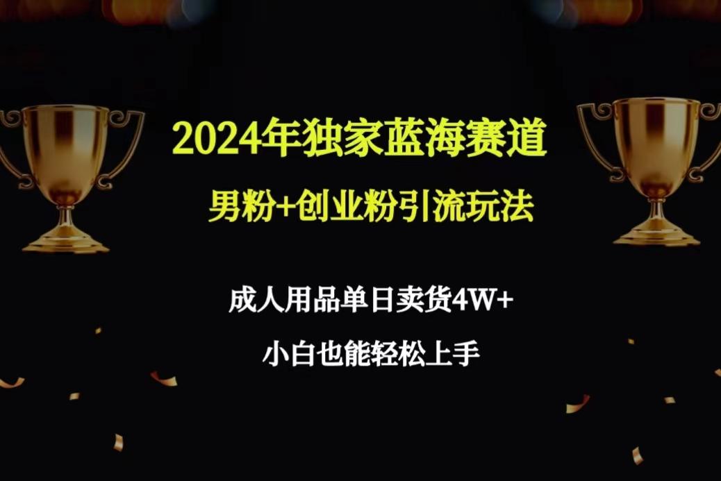 2024年独家蓝海赛道男粉+创业粉引流玩法，成人用品单日卖货4W+保姆教程-南友云赚