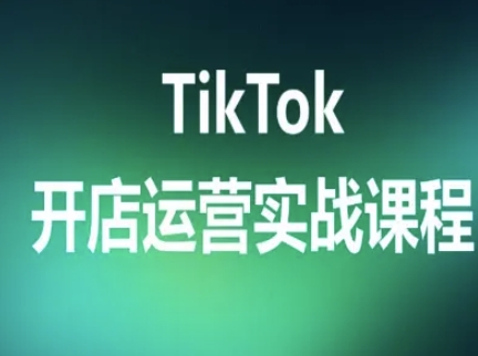 TikTok开店运营实战课程，TK跨境电商实操全流程-南友云赚