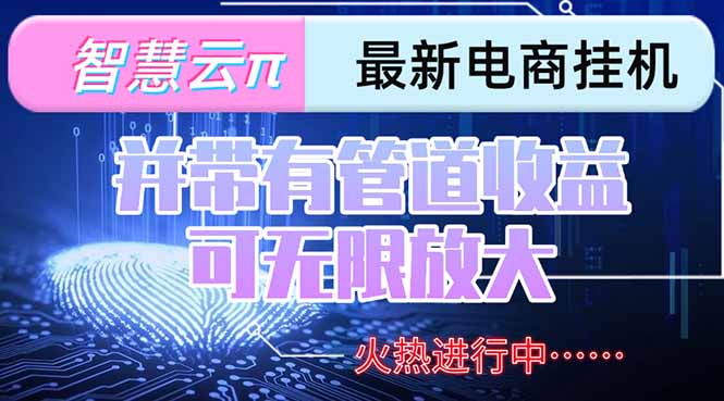 智慧云π电脑挂机单机每天收益300—500+ 并带有团队管道收益 可无限放大-南友云赚