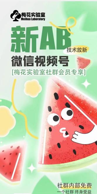 梅花实验室2024年AB技术视频号AB合成破解版-南友云赚