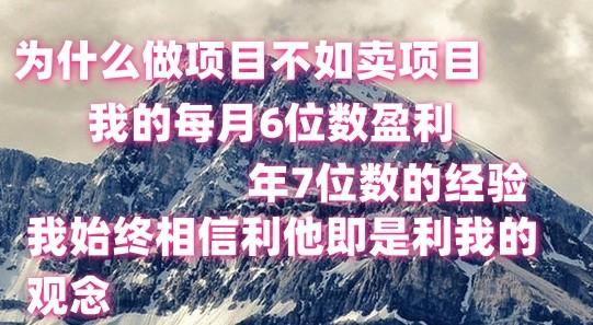 做项目不如卖项目，每月6位数盈利，年7位数经验-南友云赚