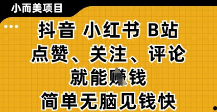 小而美的项目，抖音小红书B站视频点赞、关注、评论就能挣钱，简单无脑立见收益，妥妥的零撸项目【揭秘】-南友云赚