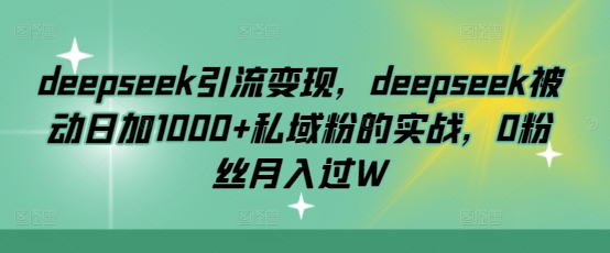 deepseek引流变现，deepseek被动日加1000+私域粉的实战，0粉丝月入过W-南友云赚