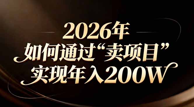站在2026年的十字路口：一个普通人如何通过卖项目实现年入200万-南友云赚