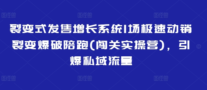 裂变式发售增长系统1场极速动销裂变爆破陪跑(闯关实操营)，引爆私域流量-南友云赚