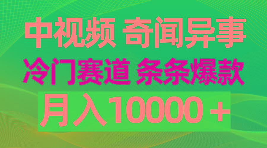 (9627期)中视频奇闻异事，冷门赛道条条爆款，月入10000＋-南友云赚