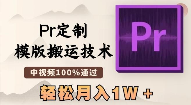 最新Pr定制模版搬运技术，中视频100%通过，几分钟一条视频，轻松月入1W＋【揭秘】-南友云赚