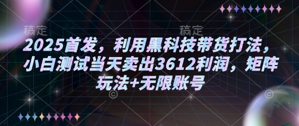 2025首发，利用黑科技带货打法，小白测试当天卖出3612利润，矩阵玩法+无限账号【揭秘】-南友云赚