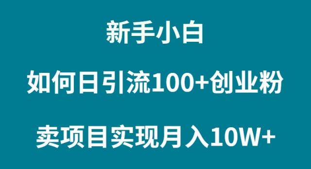 (9556期)新手小白如何通过卖项目实现月入10W+-南友云赚