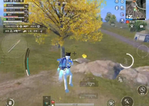 和平精英上色-强锁自瞄-南友云赚