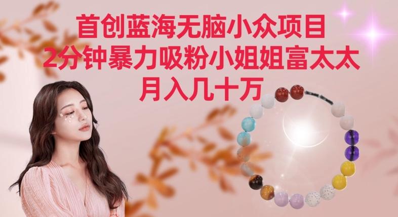首创蓝海无脑小众项目，2分钟暴力吸粉小姐姐富太太，月入几十万【揭秘】-南友云赚