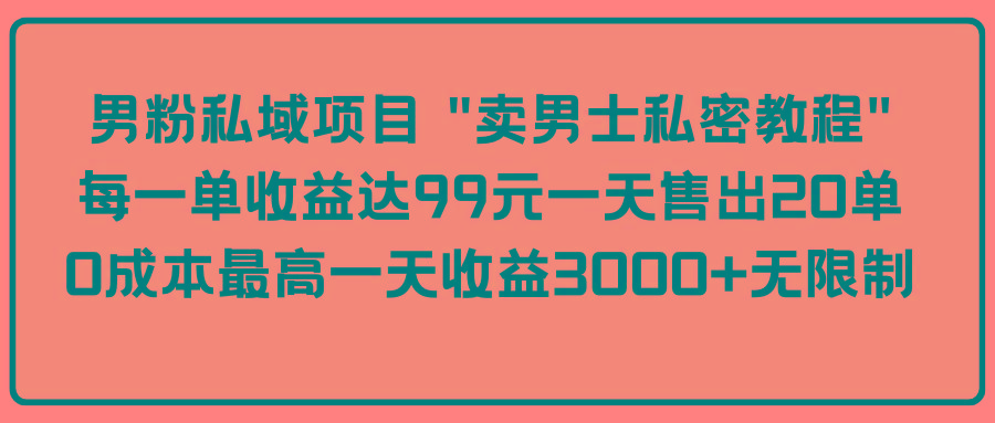 (9730期)男粉私域项目 “卖男士私密教程” 每一单收益达99元一天售出20单-南友云赚