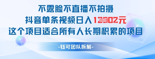 不露脸不直播不拍摄抖音单条视频日入1k+这个项目适合所有人长期积累的项目-南友云赚
