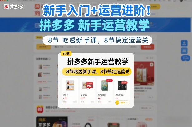 新手入门+运营进阶！拼多多新手运营教学，8节吃透新手课，8节搞定运营关-南友云赚