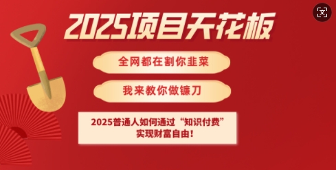 2025项目天花板普通人如何通过知识付费，实现财F自由【揭秘】-南友云赚